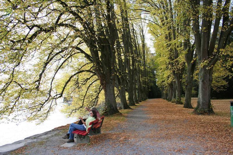 Ferienhof Schoengarten Lindau  Dış mekan fotoğraf